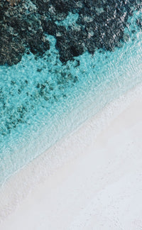 Thumbnail for PoP Display - Panda